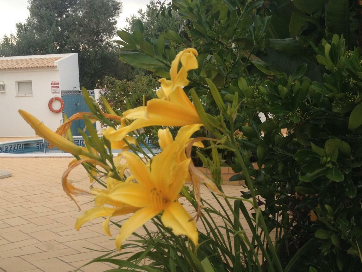 Vilabranco Albufeira Zewnętrze zdjęcie