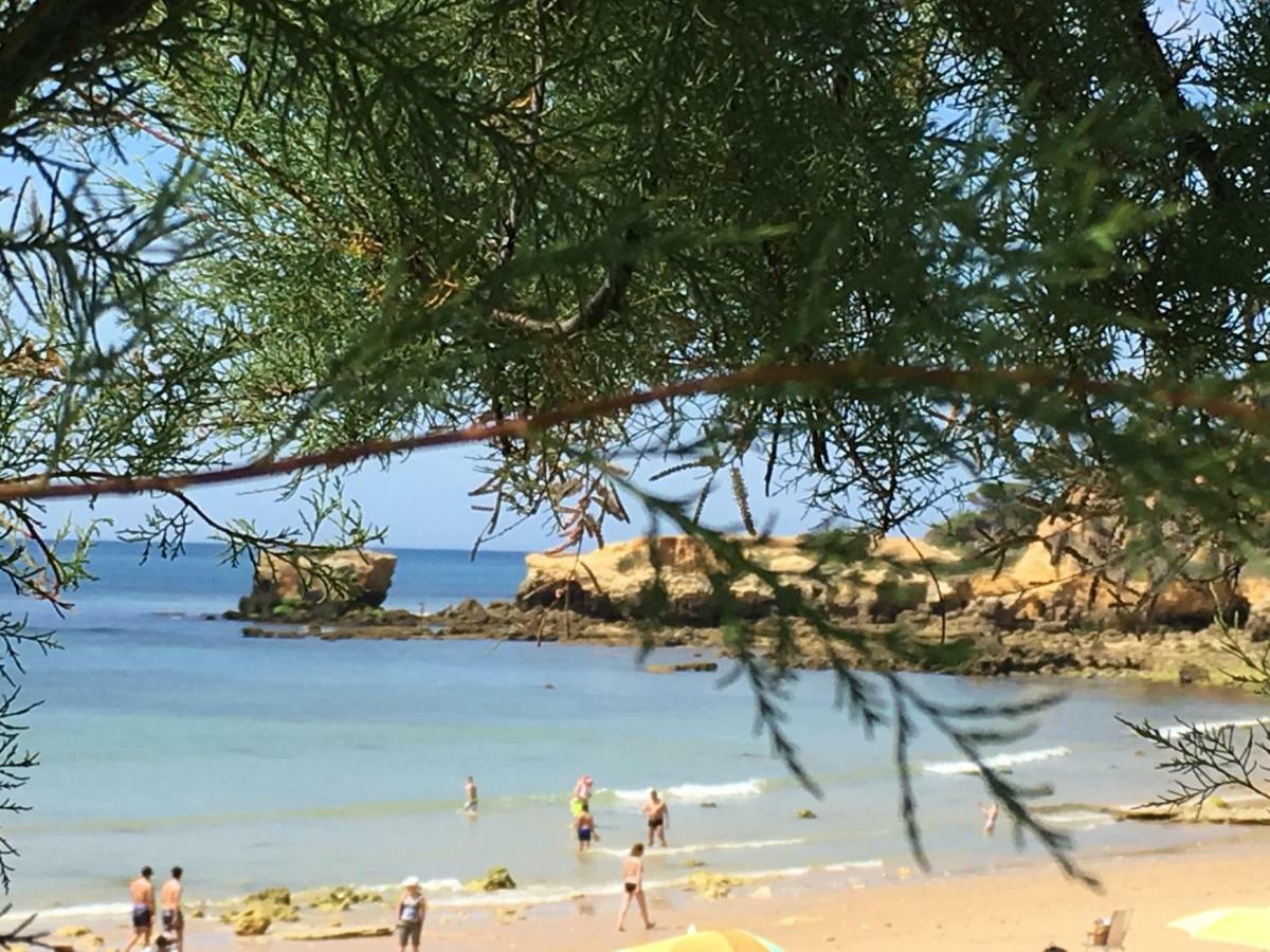 Vilabranco Albufeira Zewnętrze zdjęcie